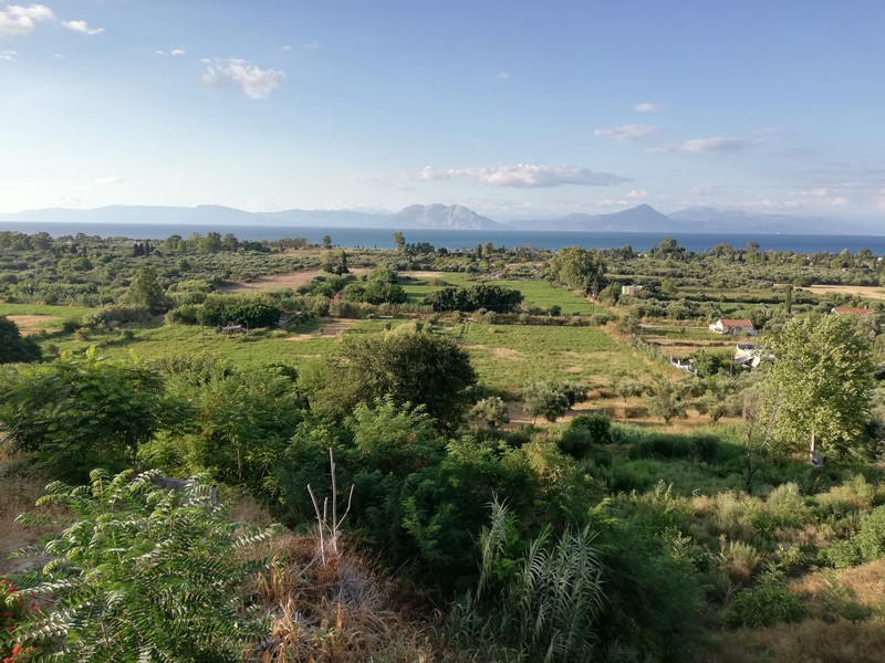 IL paesaggio si mantiene verde nonostante le alte remperature - viaggio in grecia con telaio forgione di 26 anni