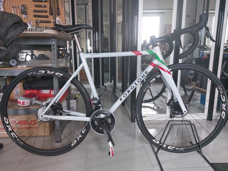 Almost complete bicycle (missing the gearbox) FrecciaItalia Forgione Telai