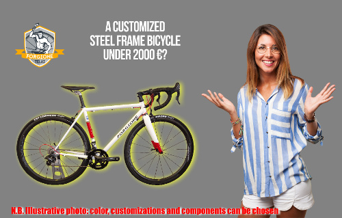 Complete custom bicycle with steel frame for less than 2000 euros