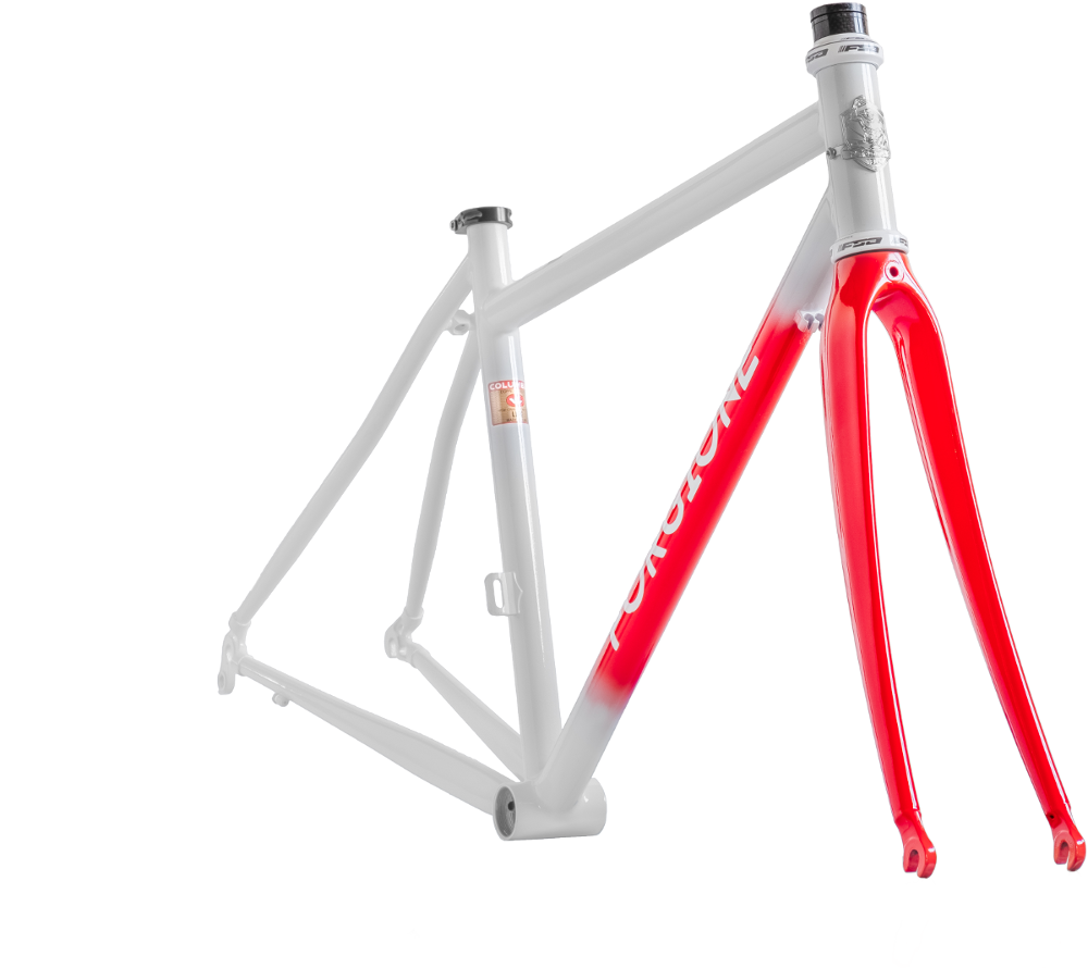 MTB