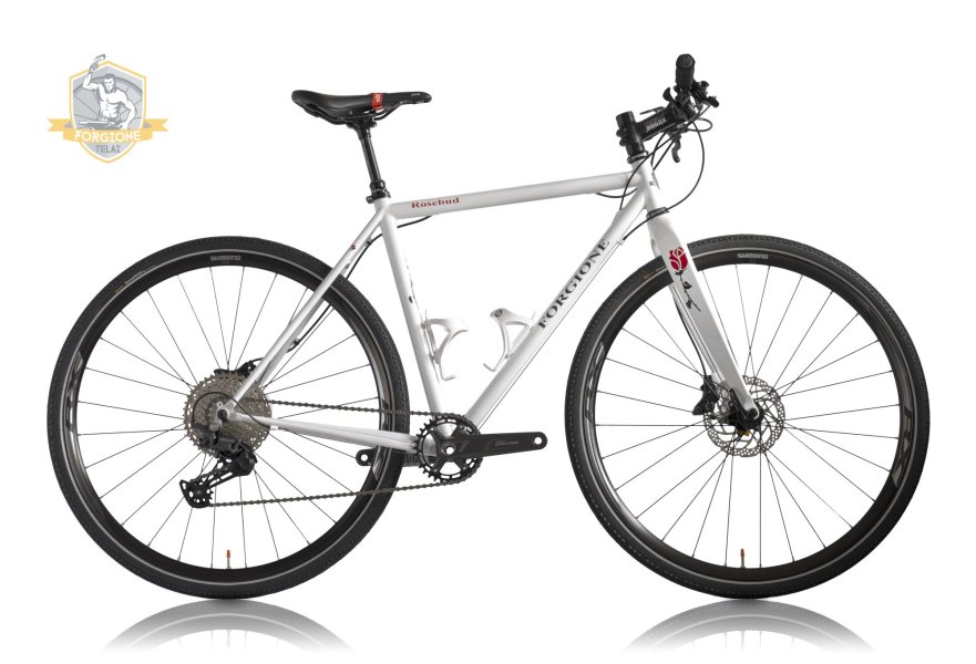 City bike made for my friend Morena: ROSEBUD