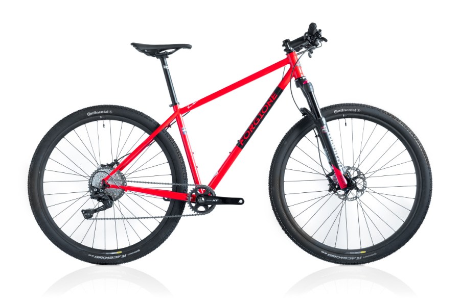 MTB Custom realizzata da Forgione Telai