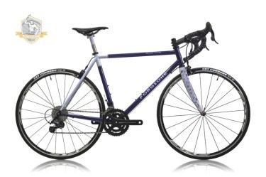 Bicicletta completa con telaio FF e Forcella personalizzata